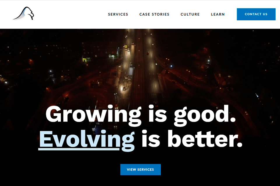 silverback strategies digital agency interface